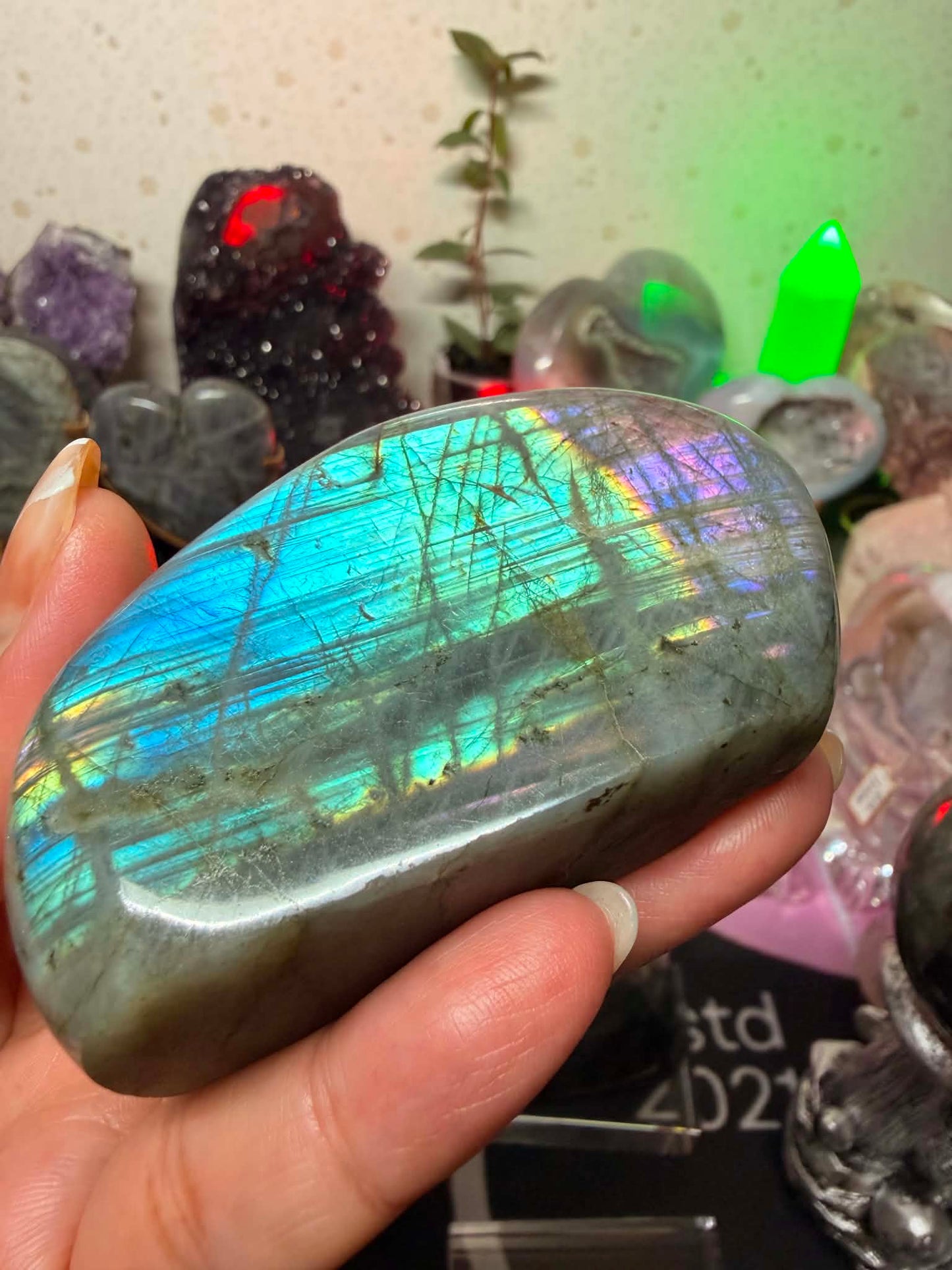 High Quality Labradorite Free-form