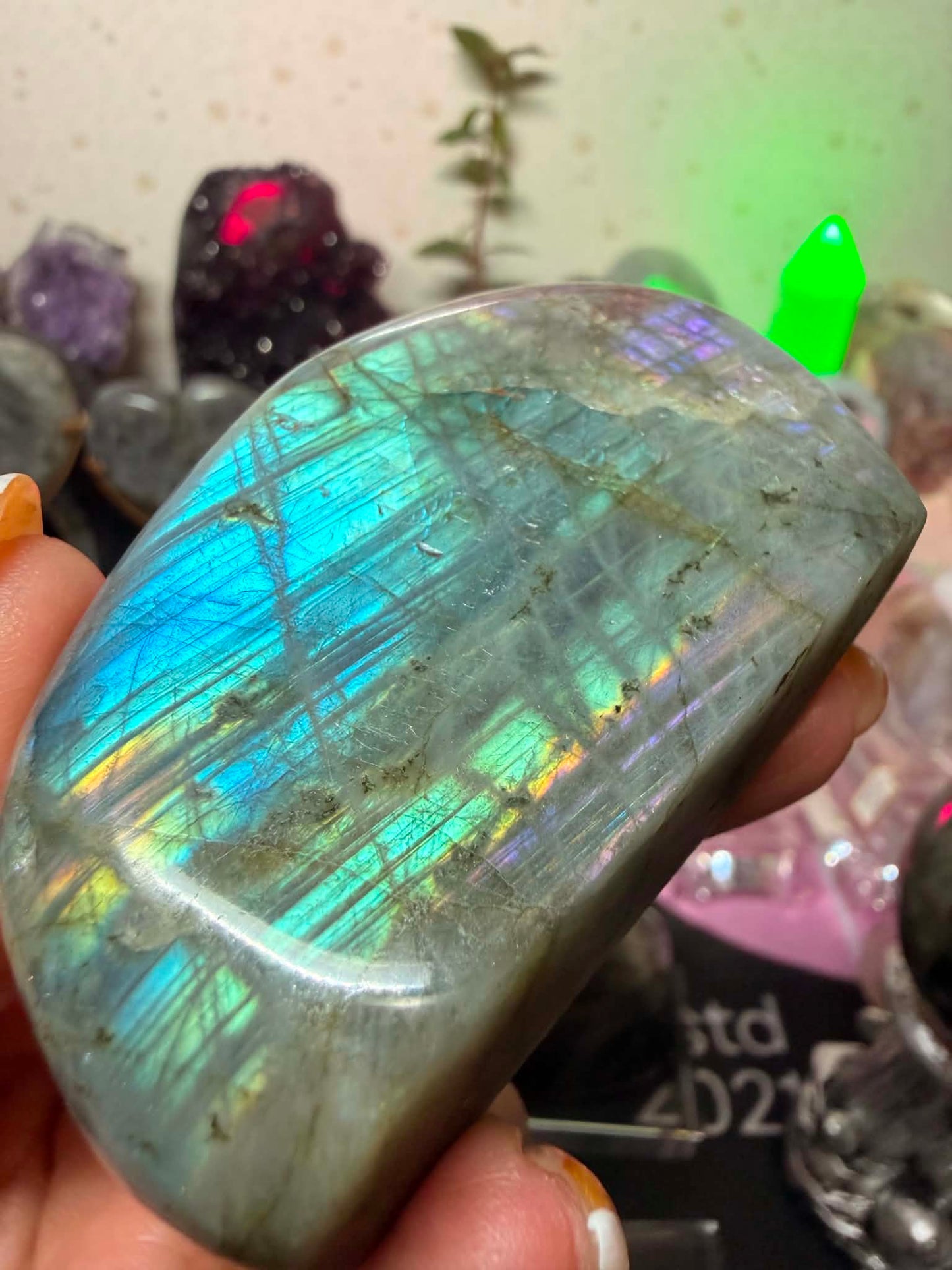 High Quality Labradorite Free-form