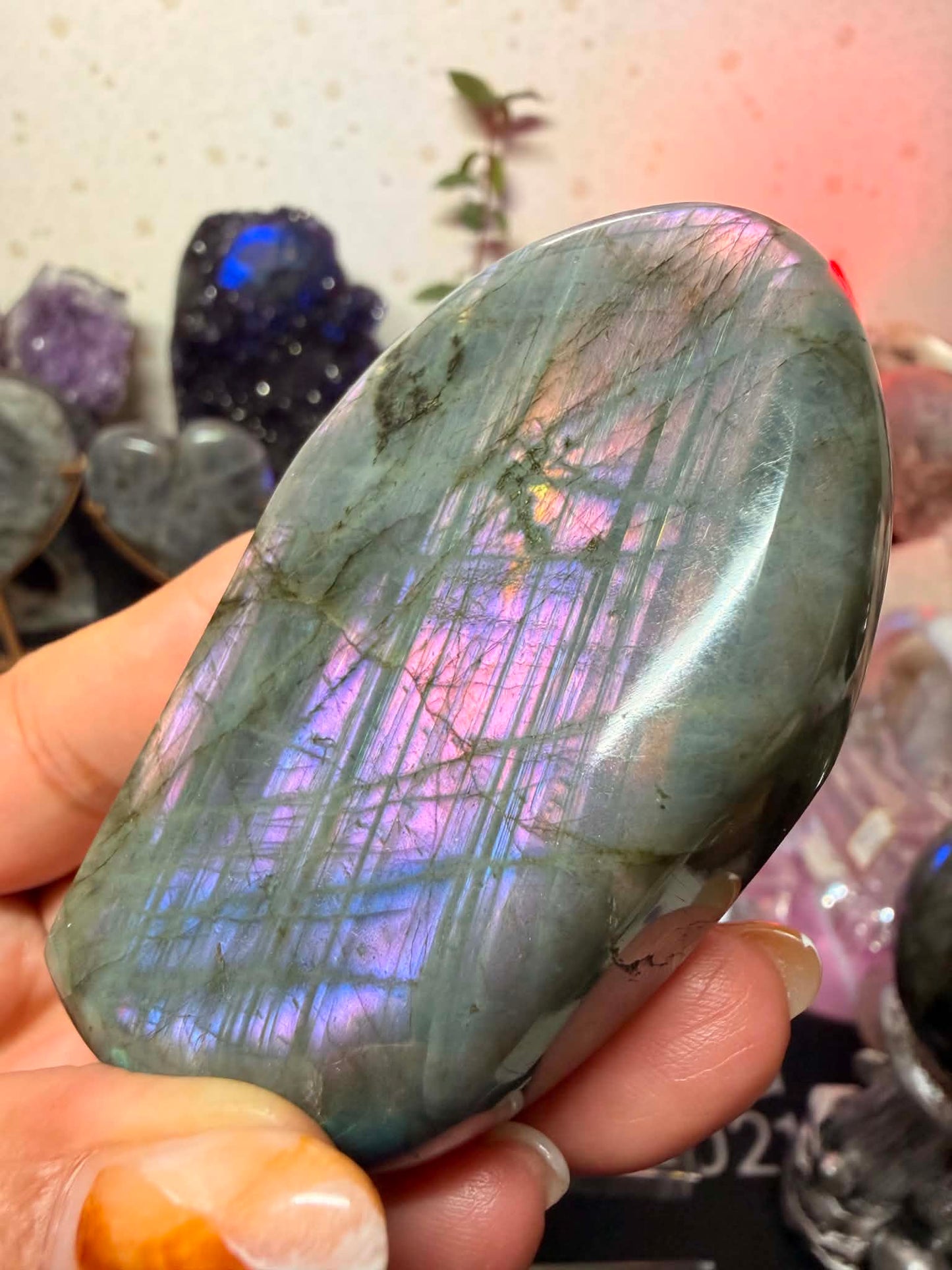 High Quality Labradorite Free-form