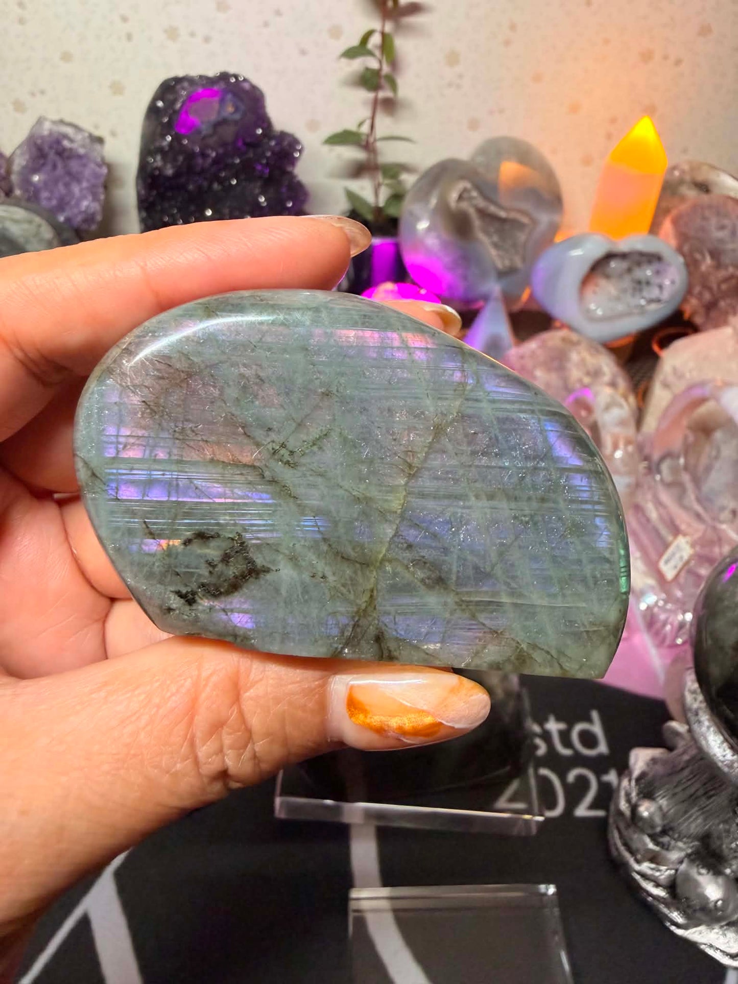 High Quality Labradorite Free-form
