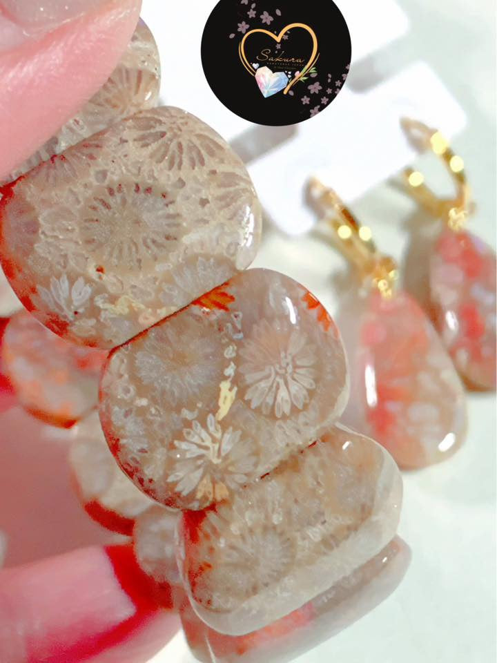 FOSSIL CORAL 🪸 Bangle Bracelet x s925 Settings Earrings ( SET )