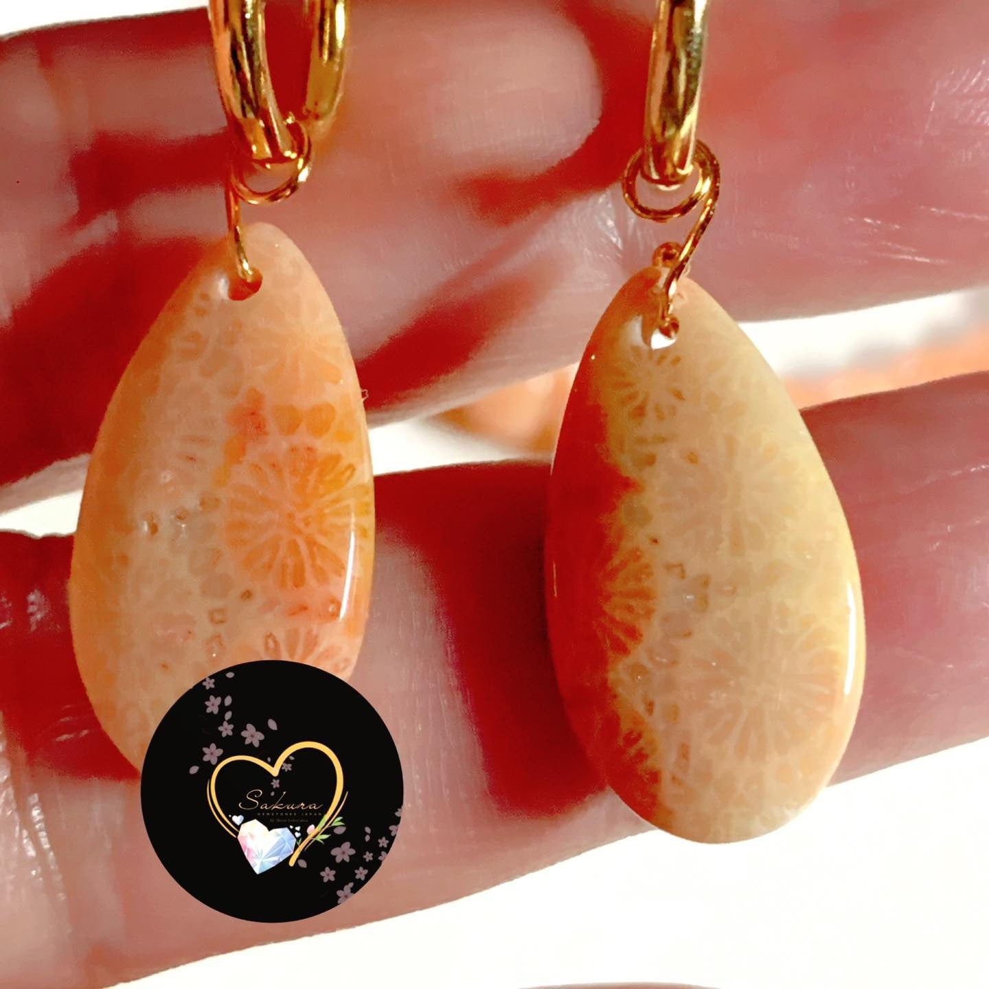 Fossil CORAL🪸 s925 Sterling Silver Siver Earrings
