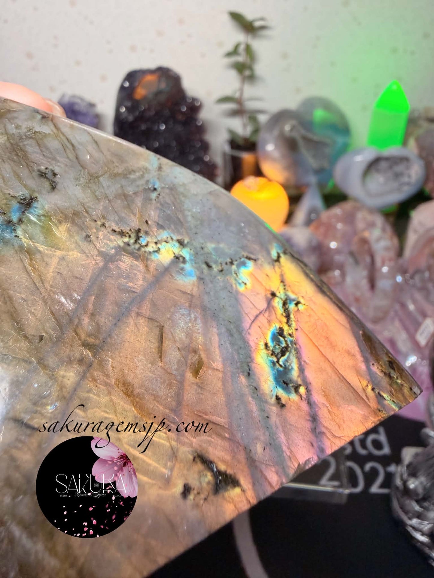 High Quality Labradorite Free-form