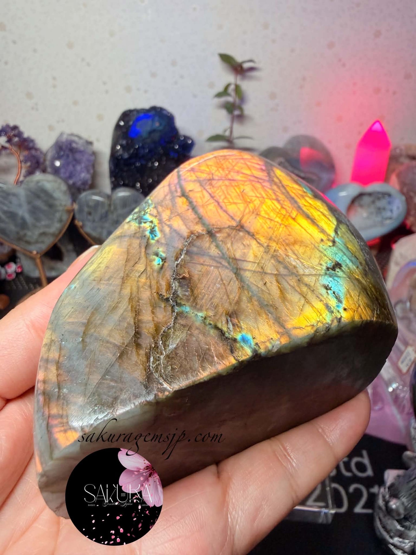 High Quality Labradorite Free-form