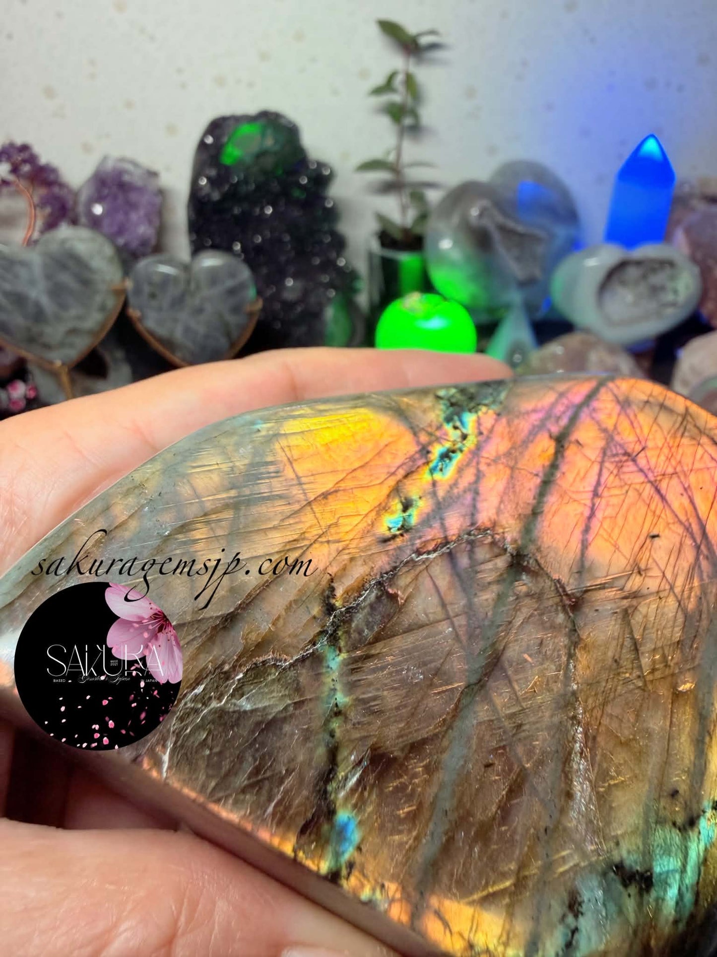 High Quality Labradorite Free-form