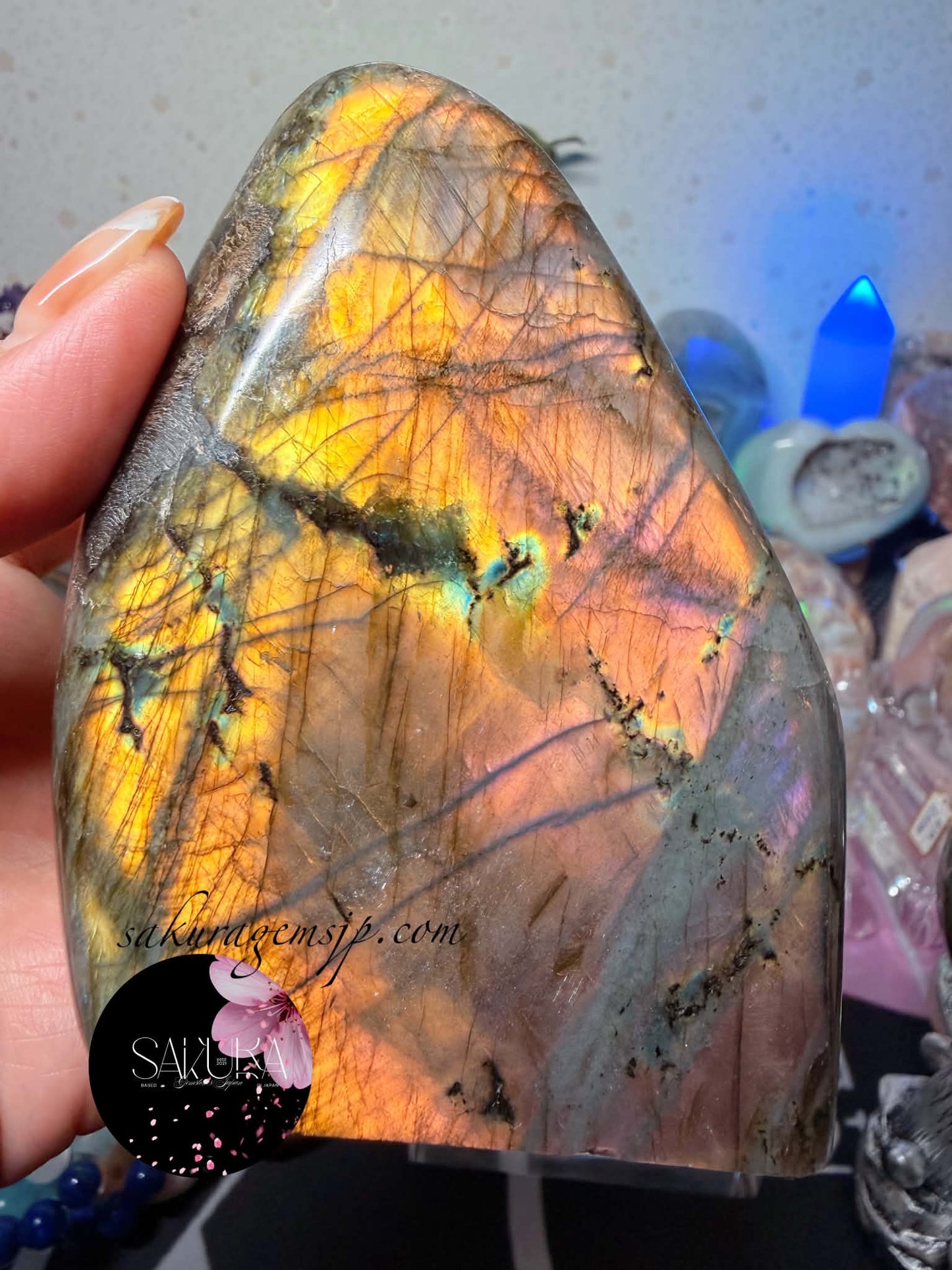 High Quality Labradorite Free-form