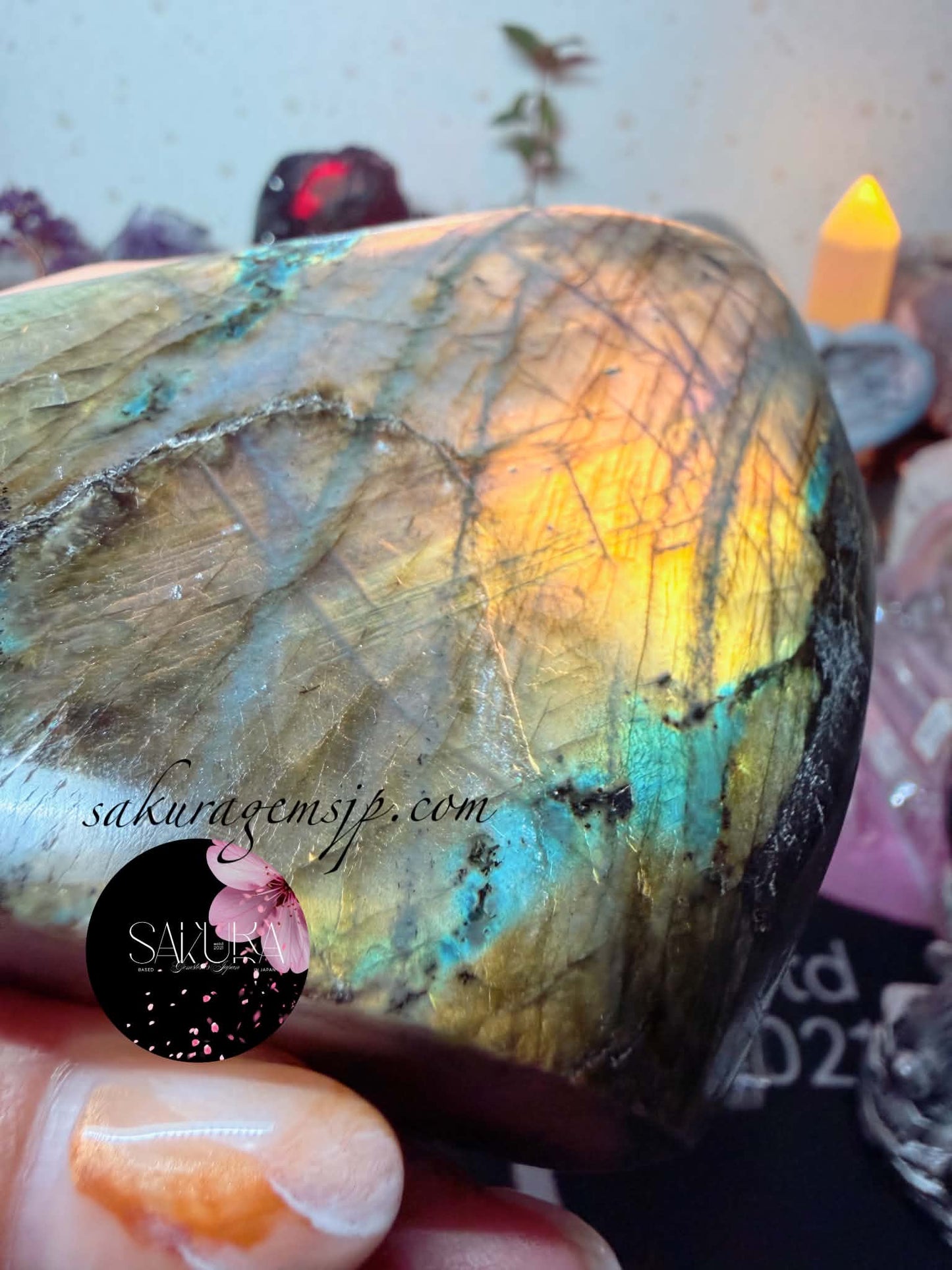 High Quality Labradorite Free-form