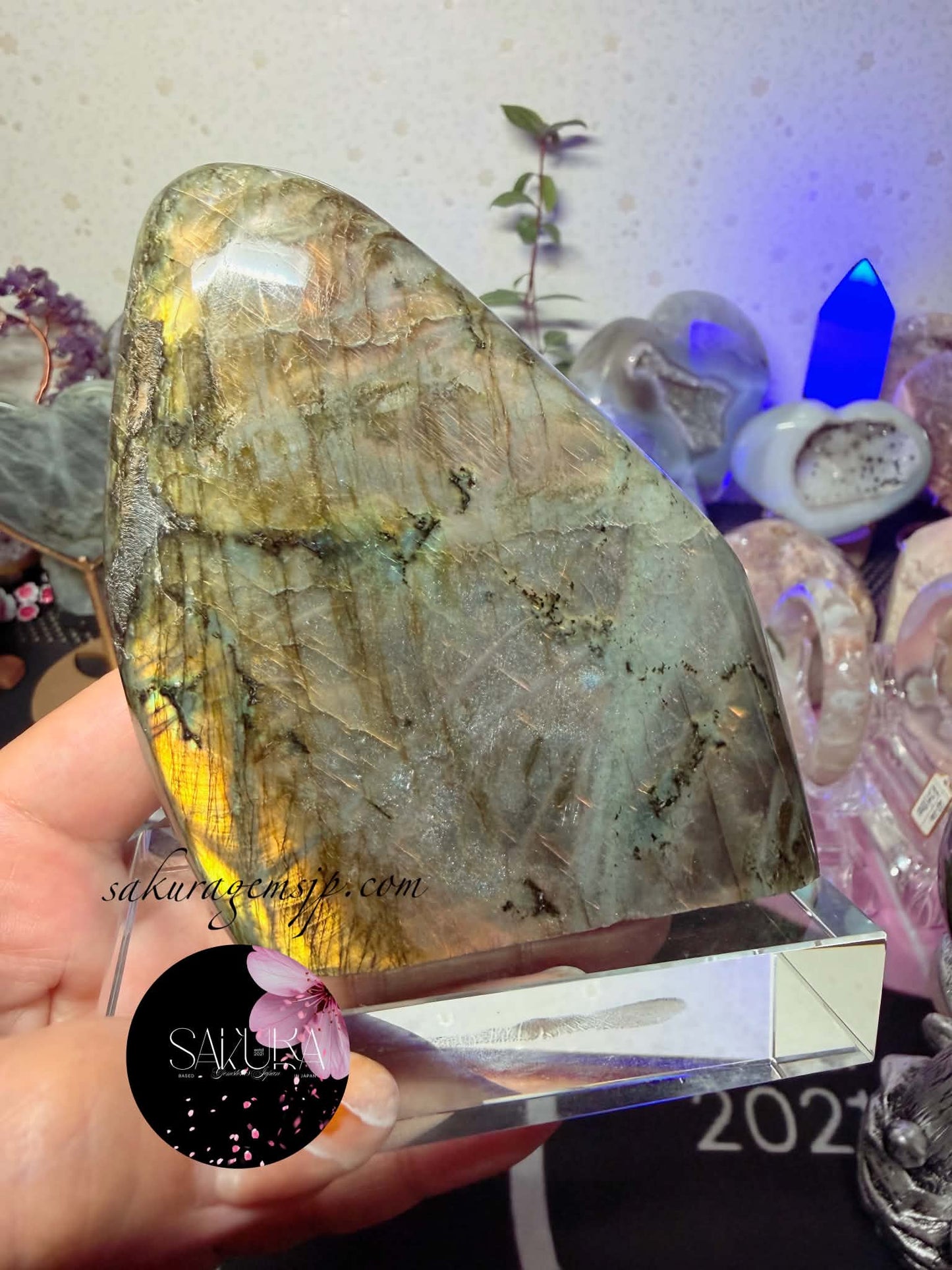 High Quality Labradorite Free-form