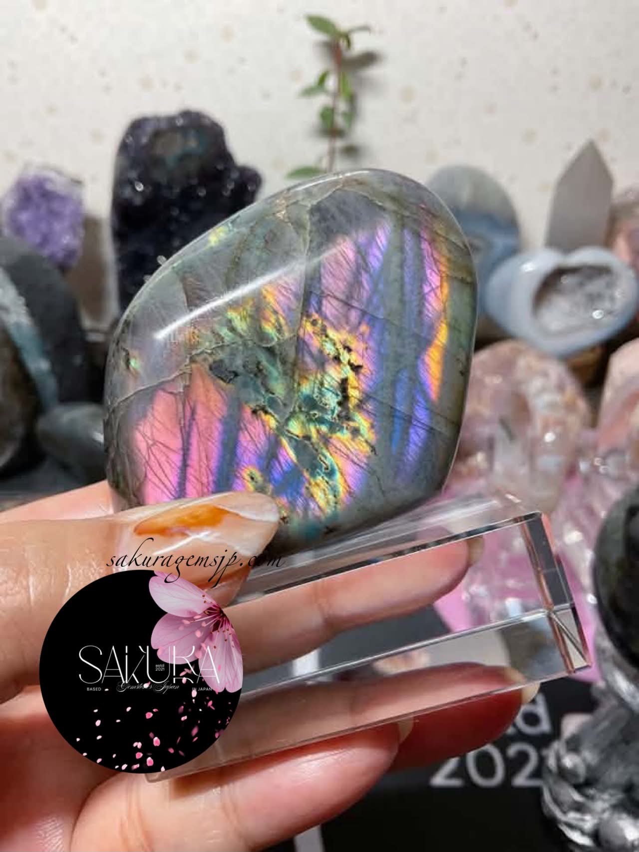 High Quality Labradorite Free-form