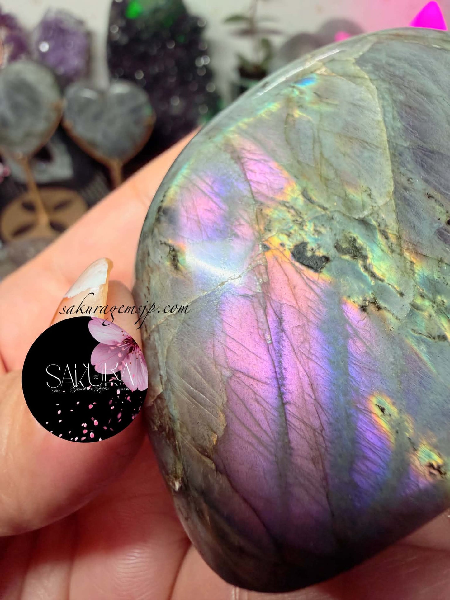 High Quality Labradorite Free-form