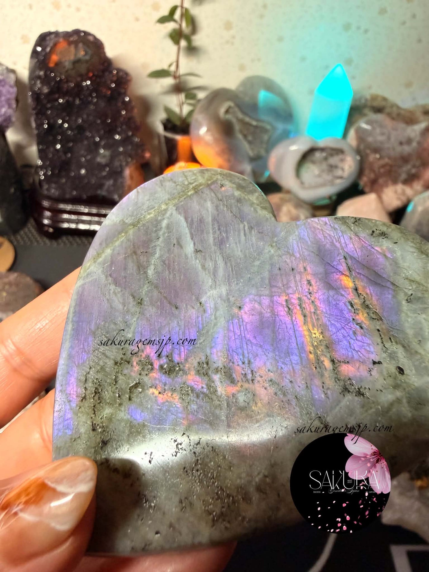 Premium Grade Purple-pink-blue Heart Labradorite