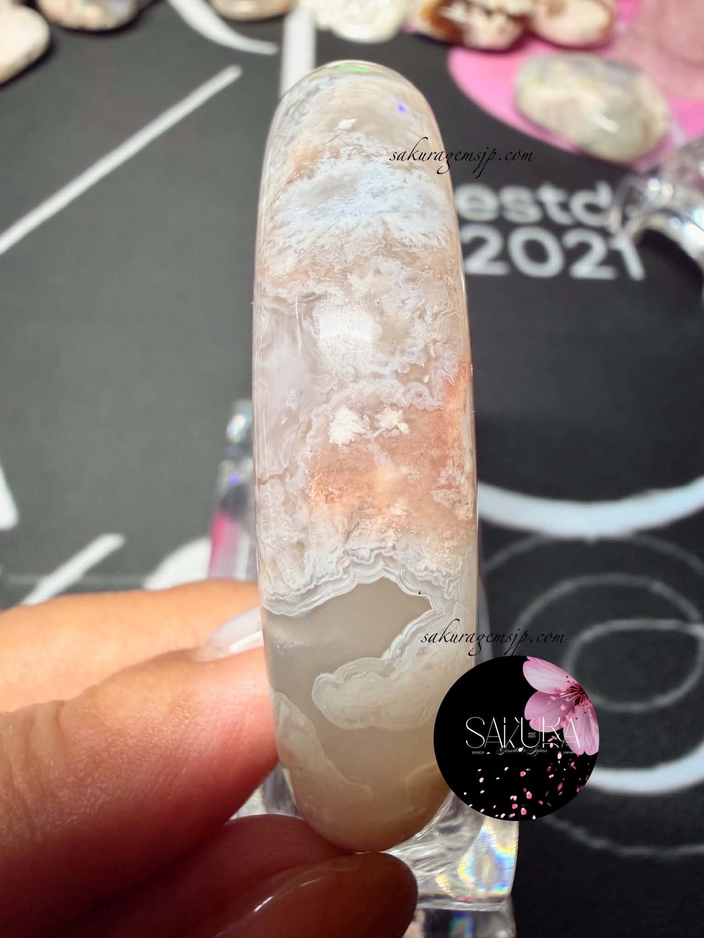 Natural Sakura Flower Agate Bangle 🌸🍃 (Cherry🍒Blossom Agate)
