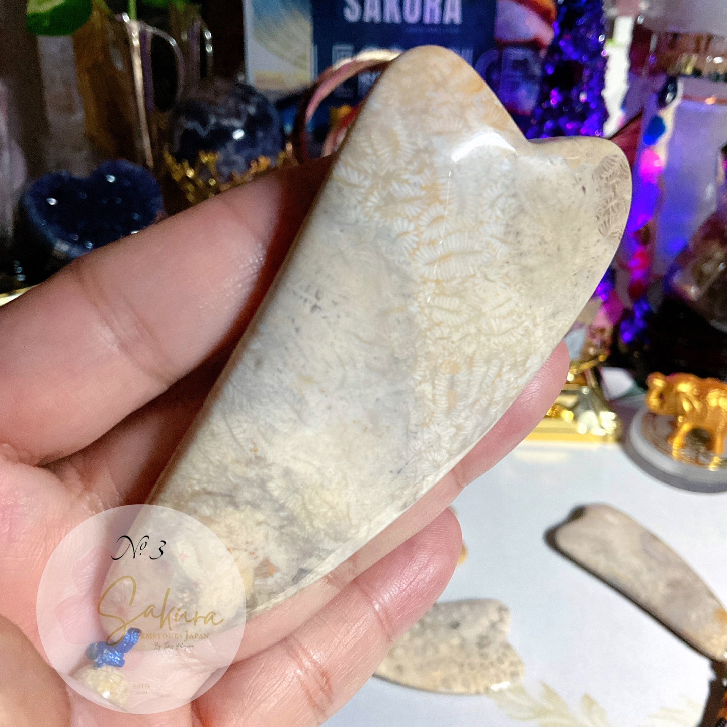 FOSSIL CORAL 🪸 face massage “GUA SHA”