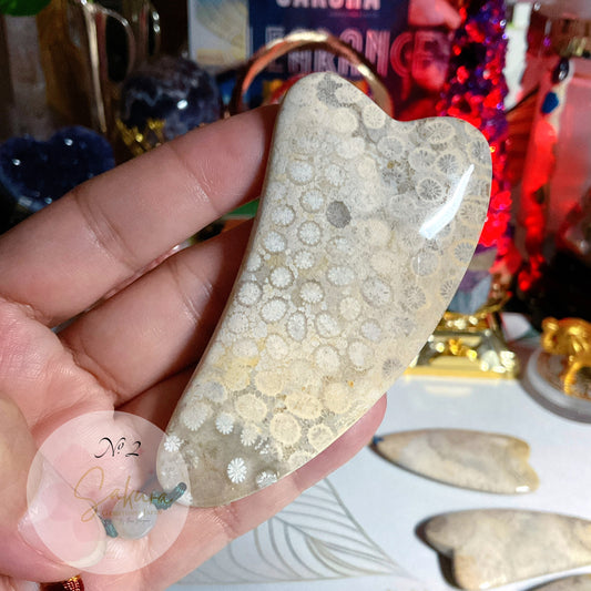 FOSSIL CORAL 🪸 face massage “GUA SHA”